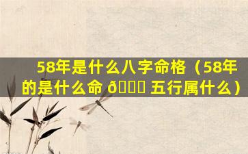 58年是什么八字命格（58年的是什么命 💐 五行属什么）